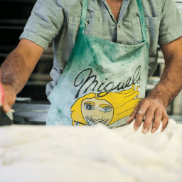 From a Single Cell to a Whole Lot More: Writing About Growth and Destruction