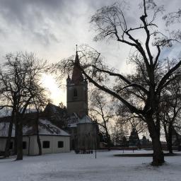 Training Journal: 2/11/19 – 2/17/19