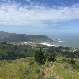 Training Journal: 3/18/19 – 3/24/19